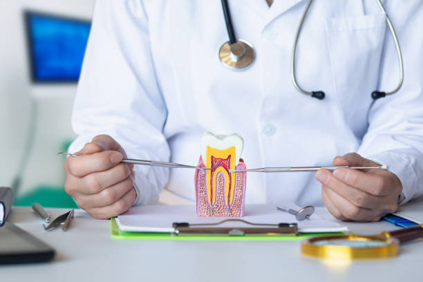 Best Emergency TMJ Treatment in Pinardville, NH